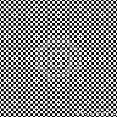 Black pattern from checkers on white seamless background. Stock Photo